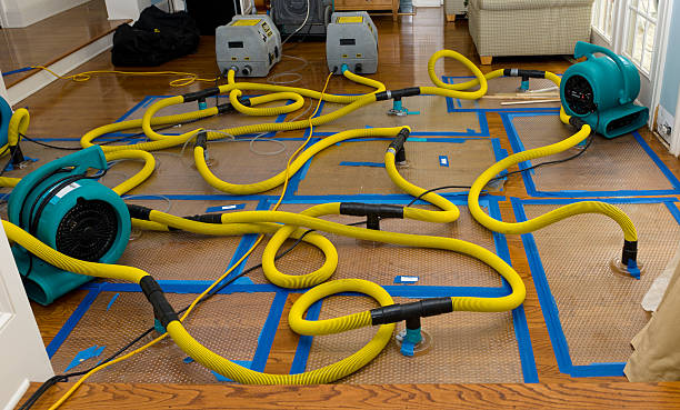 Professional Burst Pipe Water Damage technician working in West Hatfield, MA